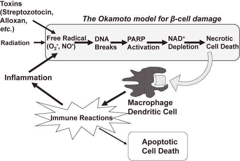 Figure 22. 