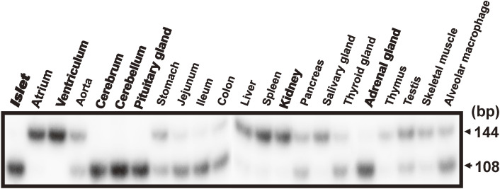 Figure 12. 