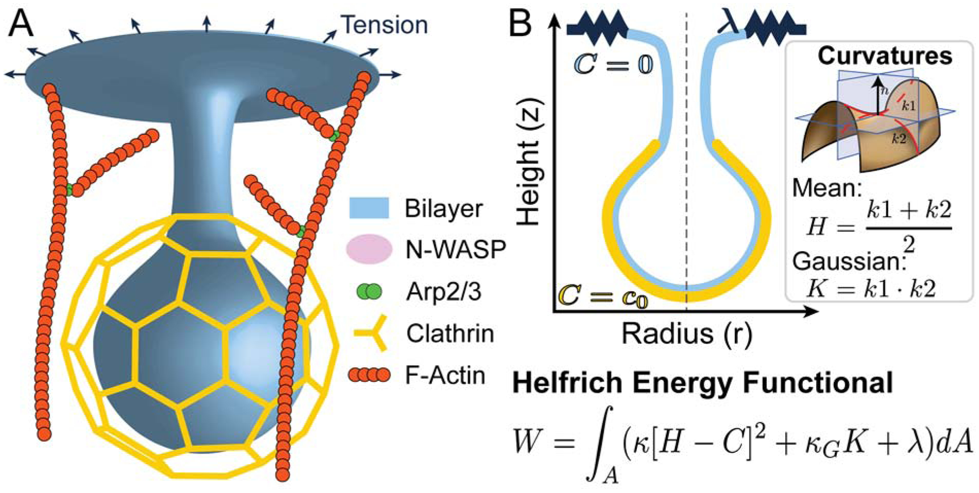 Figure 1: