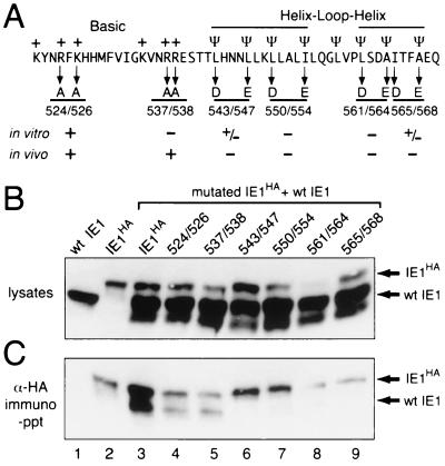 FIG. 6