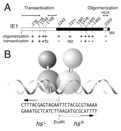 FIG. 9