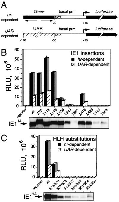 FIG. 7