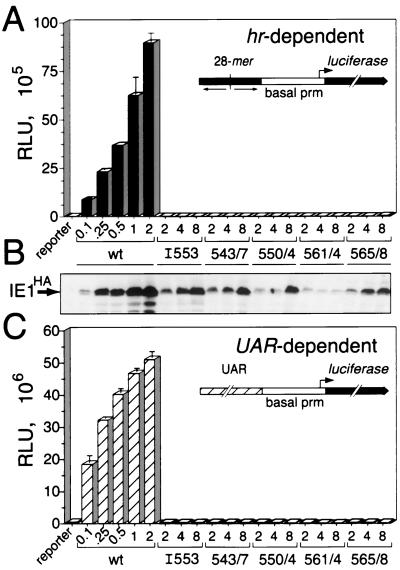 FIG. 8