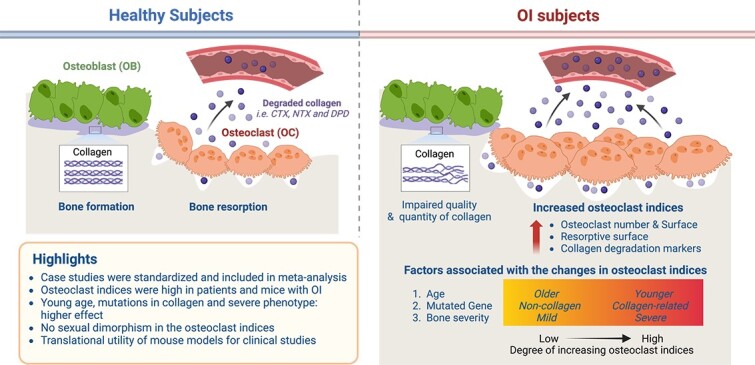 Graphical Abstract