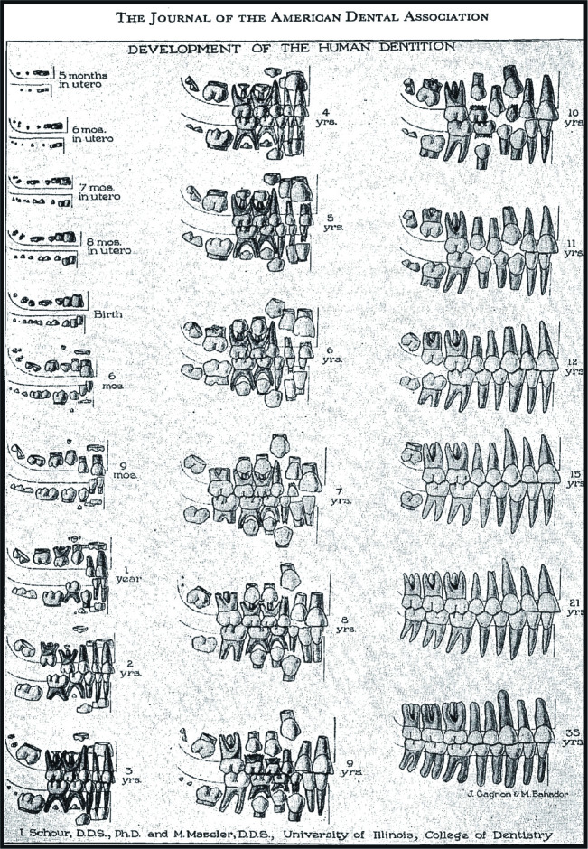 [Table/Fig-1]: