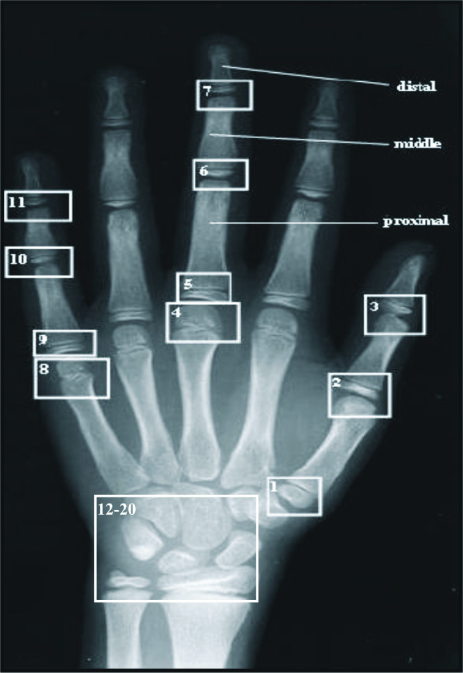 [Table/Fig-3]: