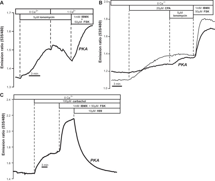 Fig. 5.