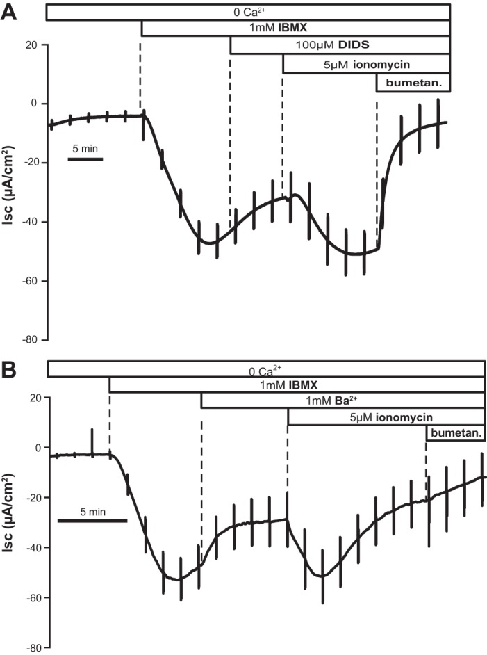 Fig. 3.