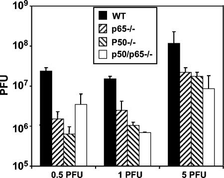 FIG. 1.