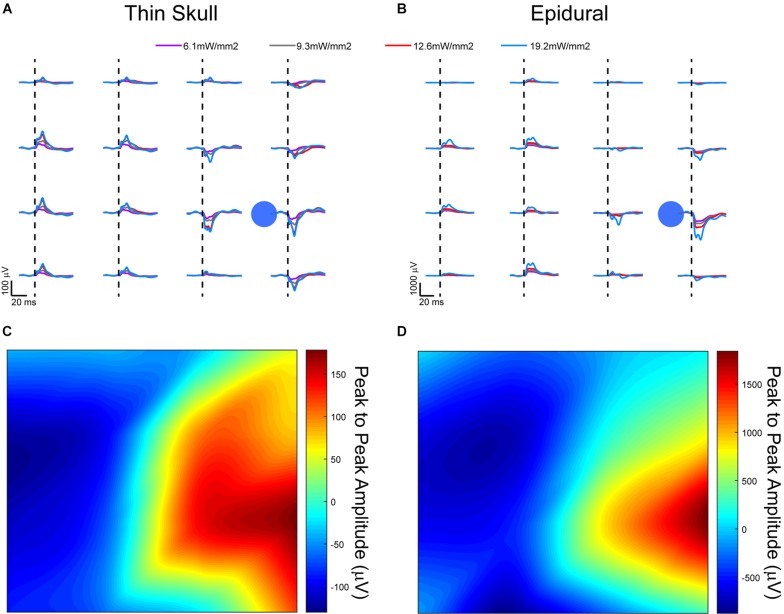 FIGURE 6