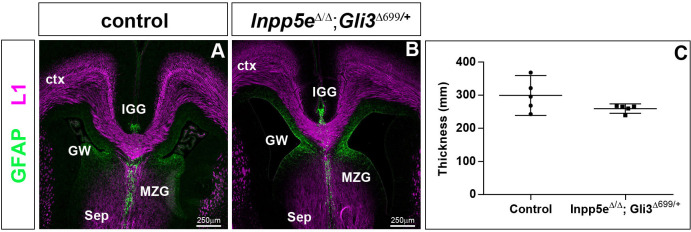 Figure 7—figure supplement 3.