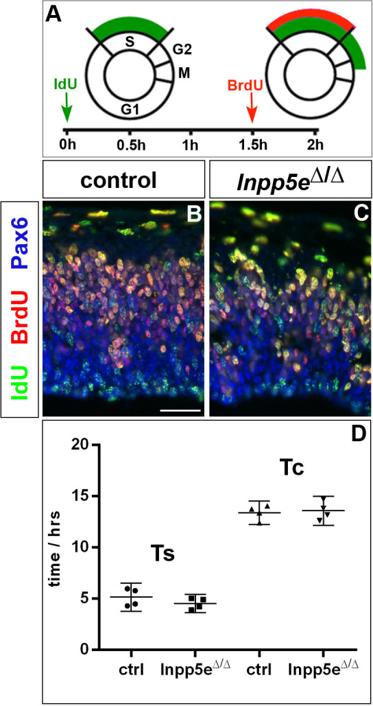 Figure 3—figure supplement 3.