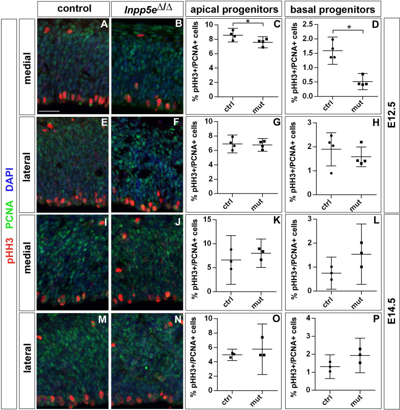 Figure 3—figure supplement 2.