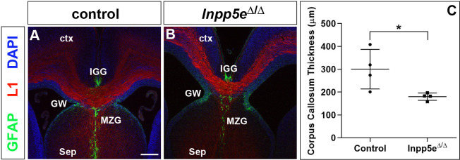 Figure 4—figure supplement 4.