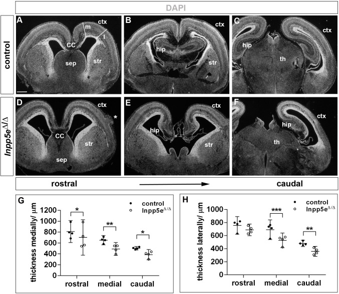 Figure 4—figure supplement 2.