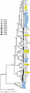 Fig. 3.
