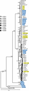 Fig. 1.
