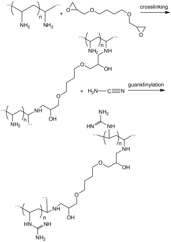 Scheme 4