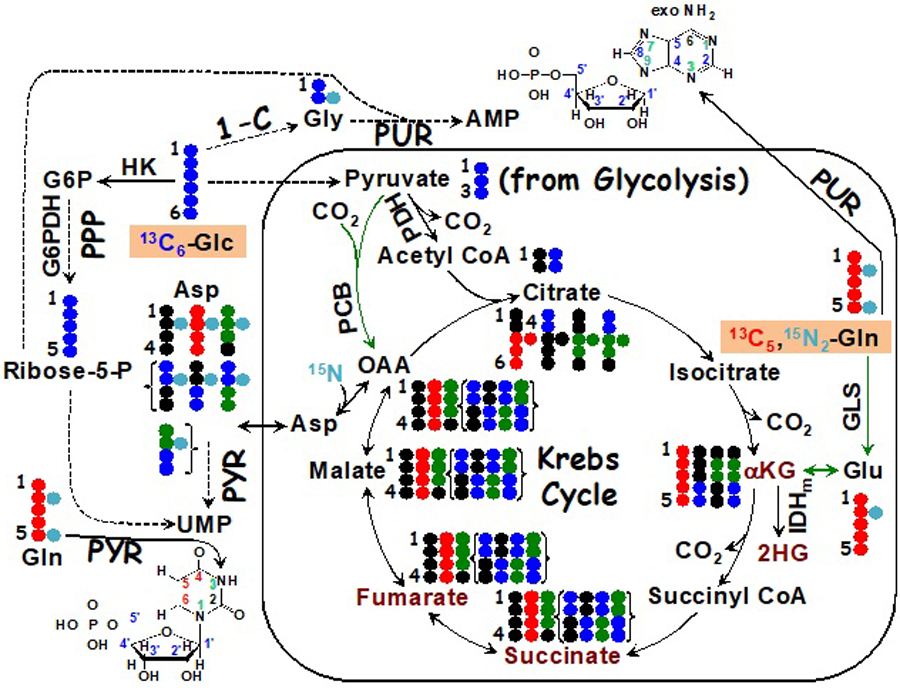 Figure 5.