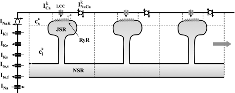 Fig. 1.