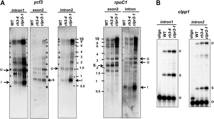 Figure 7.