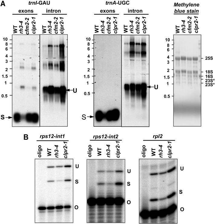 Figure 6.