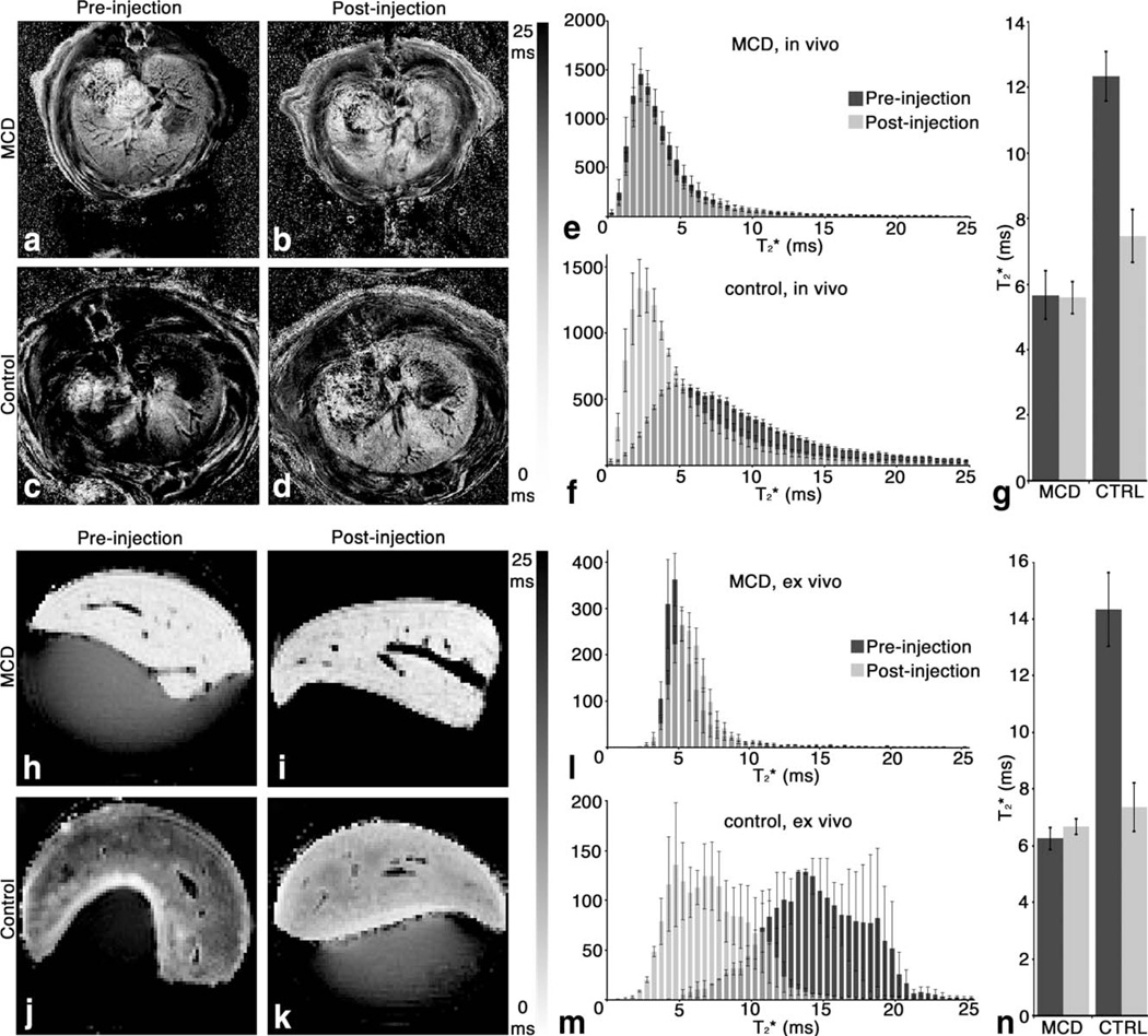 FIG. 6