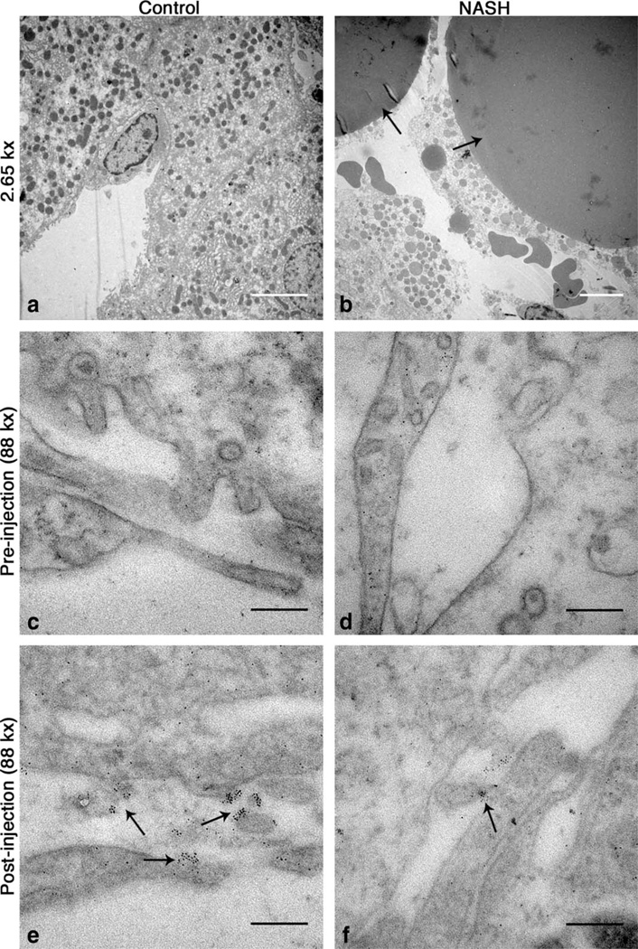 FIG. 8