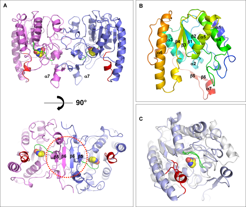 Figure 6.