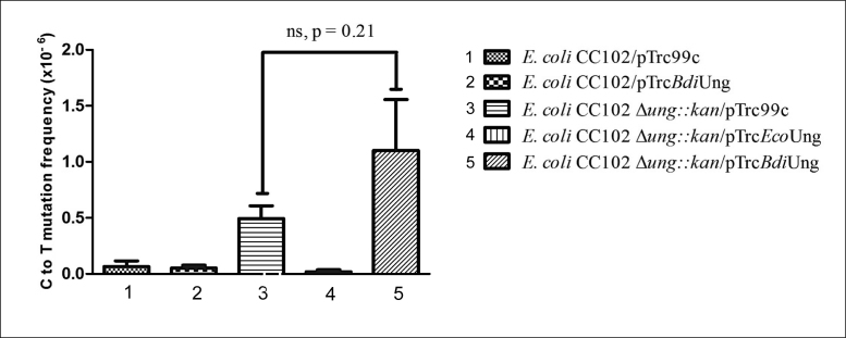 Figure 10.