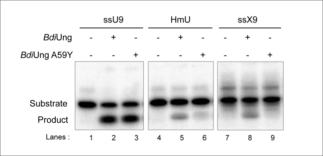 Figure 9.