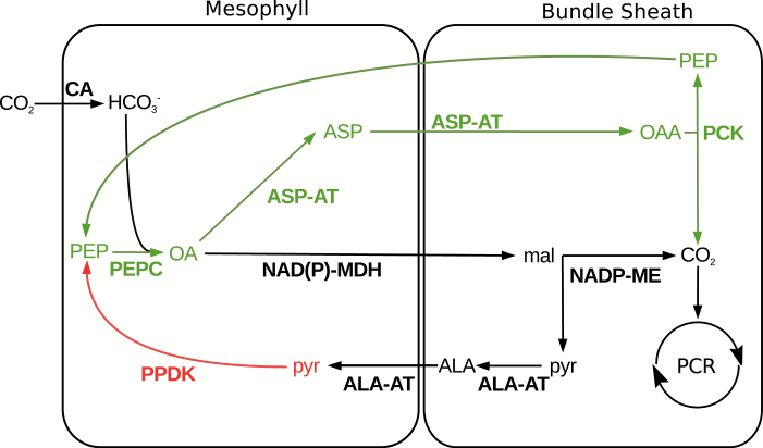 Fig. 6.