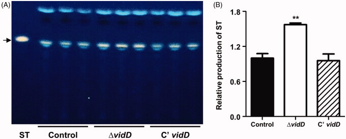 Figure 5.