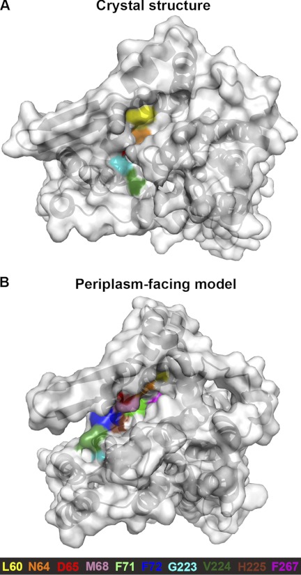 FIGURE 7.