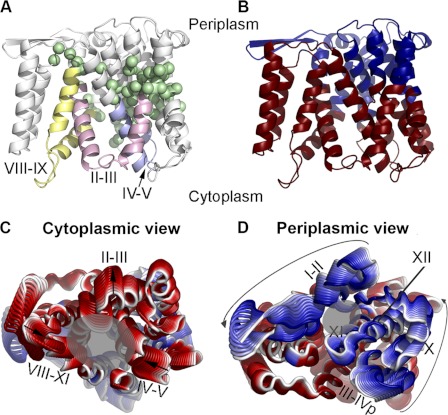 FIGURE 5.