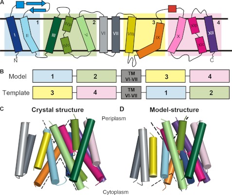 FIGURE 1.