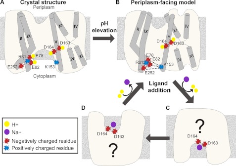 FIGURE 9.