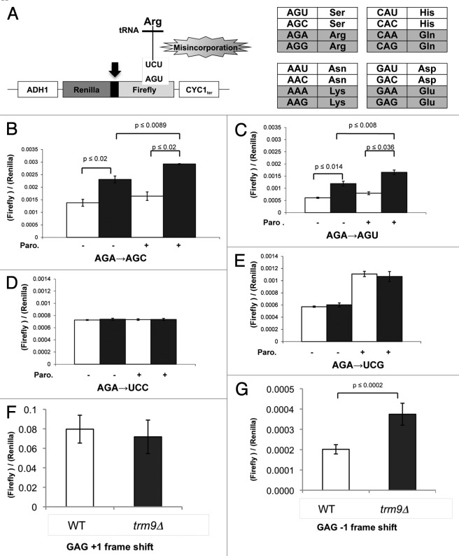 graphic file with name rna-9-990-g2.jpg