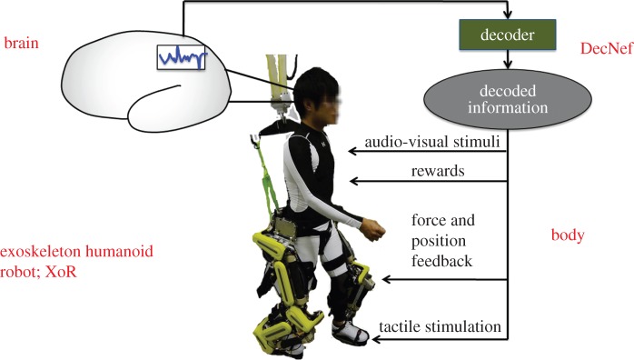 Figure 15.