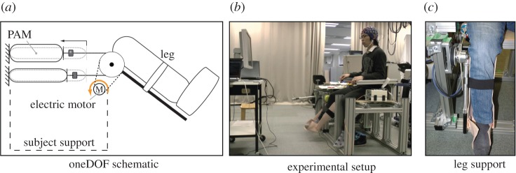 Figure 13.