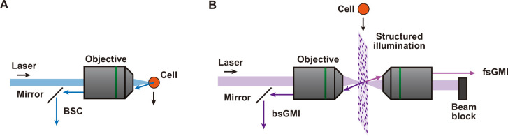 Figure 1—figure supplement 2.