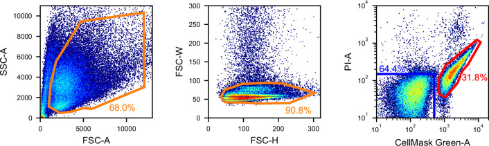 Figure 4—figure supplement 4.