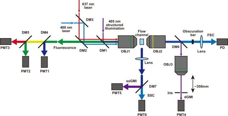 Figure 1—figure supplement 3.