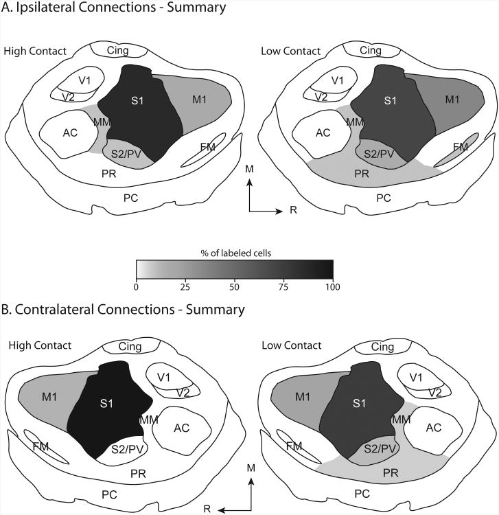 Fig 10