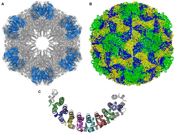 Figure 2.