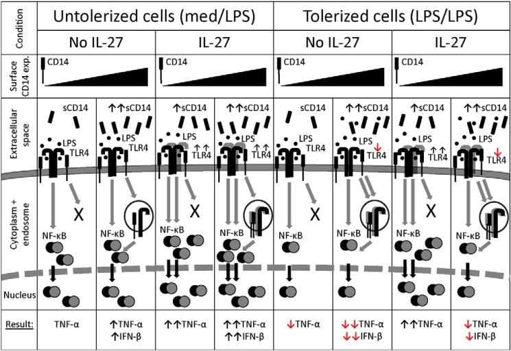 Figure 9.