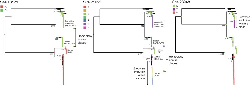 Fig. 3.