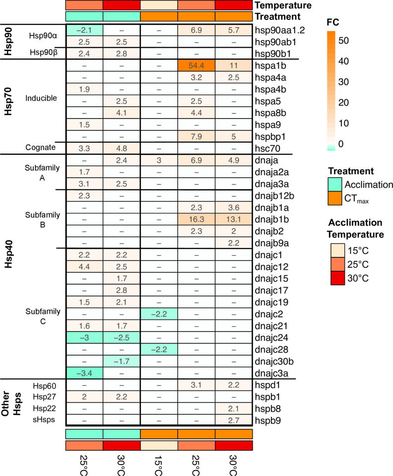 Fig 5