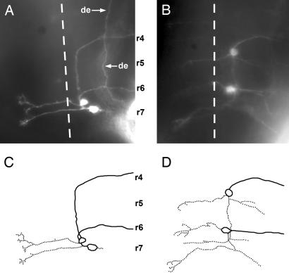 Fig. 4.