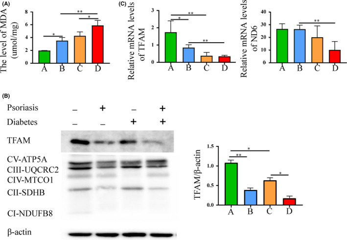 FIGURE 4